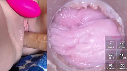 Media: Video showing a close-up of a pink, glossy, vibrating sex toy penetrating a light-skinned vulva. The background includes a blue and white patterned towel.