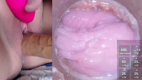 Media: A video of a pink vibrator being inserted into a woman's vagina. The background shows a close-up of her genitals and vaginal walls. The image also displays a chart with statistics on the right side.