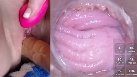 Media: Video of a close-up of a woman's vagina, with a pink vibrator inserted, and a thermometer displaying 69\u00b0C (156\u00b0F).