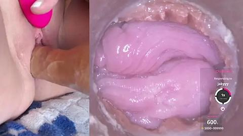 Media: Video of a close-up view of a pink, engorged vulva being penetrated by a pink sex toy, set against a blue and white textured background.