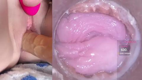 Media: A close-up video of a person's vagina, with a pink dildo inserted, showing detailed textures and natural colors.