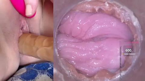 Media: Video of a close-up of a pink, moist vulva being penetrated by a large, tan-colored dildo, with a pink vibrator visible in the background.