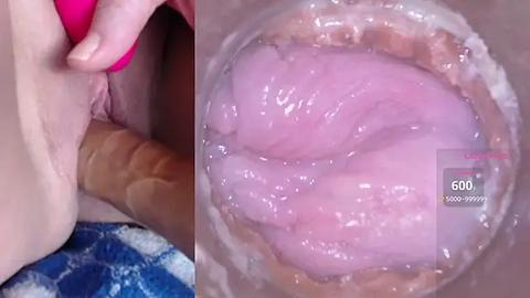 Media: A close-up video showing a pink, lubricated dildo being inserted into a woman's vagina, with a visible hand holding it.