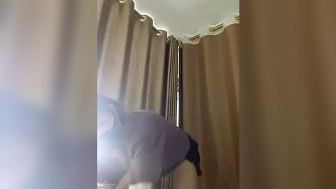 Media: A video of a dog with a white coat and a dark muzzle, crouching in a narrow, beige-tiled hallway. The dog is partially obscured by tall, draping beige curtains.