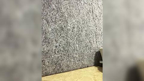 Media: A video of a textured, gray concrete wall with a rough, granular surface, partially covered in a beige, sandy floor, with a blurred, indistinct object in the foreground.