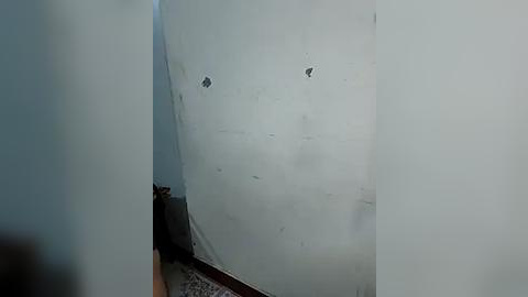 Media: Video of a dimly lit, narrow, poorly maintained corridor with peeling white paint and a worn, patterned carpet. Two small holes are visible on the wall, and the floor appears slightly uneven.