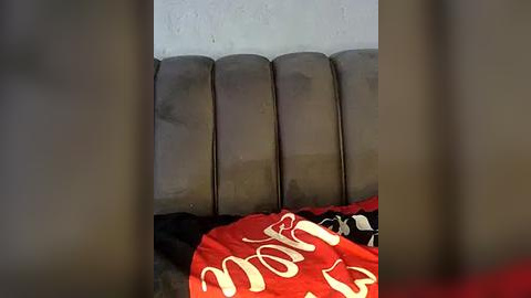 Media: Video of a beige, tufted leather couch with five vertical cushions. A red blanket with white text is partially visible at the bottom. The background shows a plain, light-colored wall. The image is framed by blurred vertical lines.