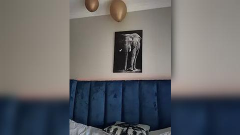 Media: Video of a modern bedroom with a plush, deep blue velvet headboard, a black-and-white elephant print above it, and two gold spherical lights hanging from the ceiling.