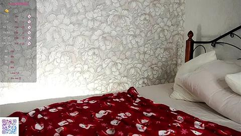 Media: Video of a bedroom with a white floral-patterned wallpaper, a metal bed frame, white pillows, and a red blanket adorned with white heart motifs.