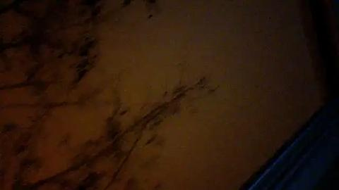 Media: Video of a dimly lit, textured wall with dark brown, irregular patterns resembling a stain or mold, suggesting an old, possibly damp or neglected surface. The image is dark and grainy, with minimal details.