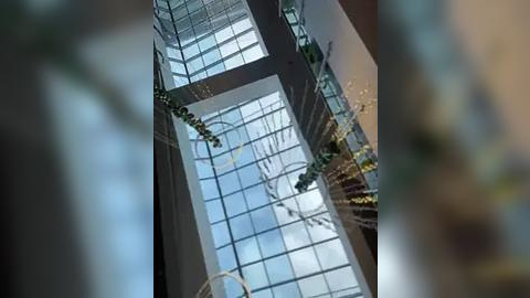 Media: Video of an indoor atrium featuring a glass ceiling with grid pattern, showcasing a modern architectural design. The background reveals a clear blue sky, suggesting a high location. A decorative, intricate metal structure hangs from the ceiling, adding a touch of elegance.