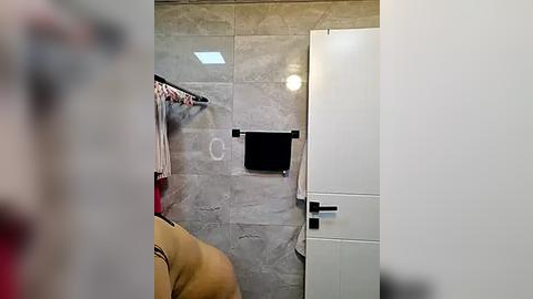 Media: A video of a modern bathroom with beige marble tiles, a black towel holder, a white door, and a towel rack with a red towel hanging. The background is slightly blurred.