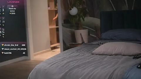 Media: Video of a modern bedroom with a neatly made bed, grey pillows, and a potted plant on the nightstand. A person is partially visible in the background, standing near a shelf.