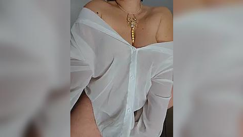 Media: Video of a woman's upper torso in a sheer white button-down shirt, exposing her bare shoulders and cleavage, adorned with a gold necklace, blurred background.