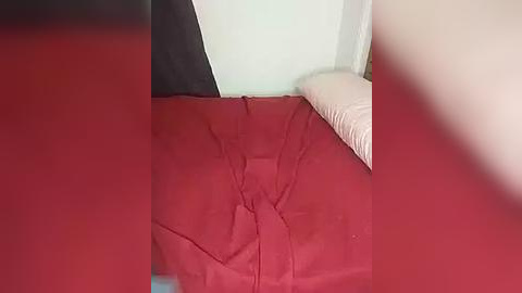 Media: Video of a neatly made bed with a red bedspread, black and white pillows, and a white pillow against a light blue wall, slightly blurry.