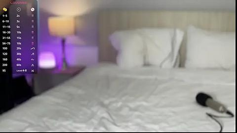 Media: Video of a blurred bedroom with a bed, pillows, and a nightstand with a lamp. A hairdryer is on the bed, and a digital display shows statistics and a timer. The background is soft, with muted colors.