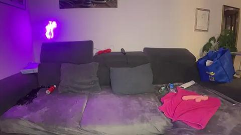 Media: Video of a messy living room with a grey sectional sofa, scattered red and pink clothes, blue shopping bag, toys, and a purple glowing figure.