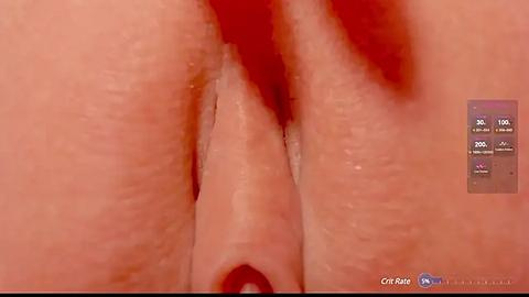 Media: A close-up video of a human vulva, showing natural skin texture, with a side panel displaying game options.