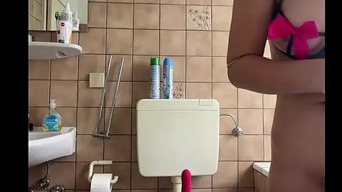 Media: Video of a small, beige-tiled bathroom with a woman in pink lingerie, a white toilet, and toiletries on a shelf.