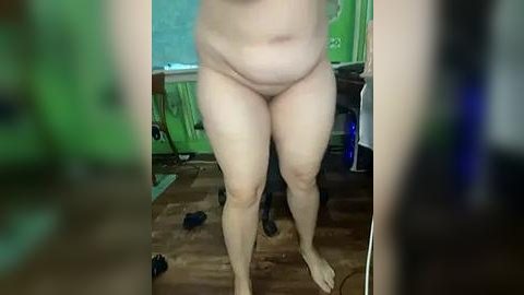 Media: A video of a nude, overweight, fair-skinned person standing in a cluttered room with green walls and wooden floors. Clothes are scattered around, creating a messy, unorganized setting.