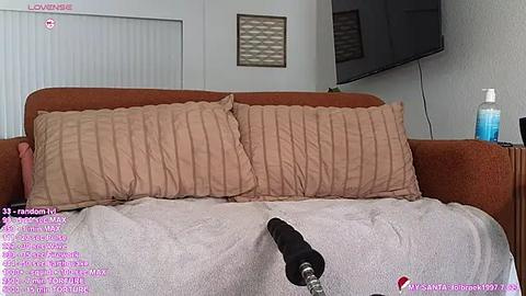 Media: Video of a brown couch with beige pillows, a white blanket, and a black vibrator on top. Background includes a TV, a water bottle, and vertical blinds.