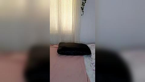 Media: Video of a minimalist room with a black pillow on a pink bedspread against a white wall, partially covered by sheer curtains.