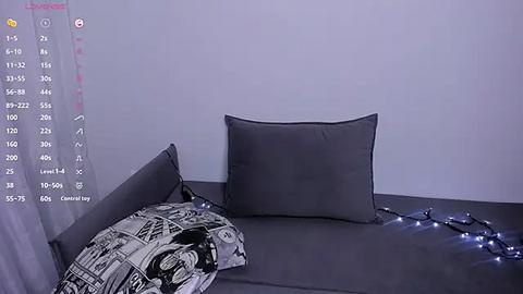 Media: Video of a minimalist, modern bedroom corner featuring a grey cushioned bench with a single grey pillow and a pillowcase with a newspaper print pattern. A string of white lights hangs on the wall, adding a soft glow.