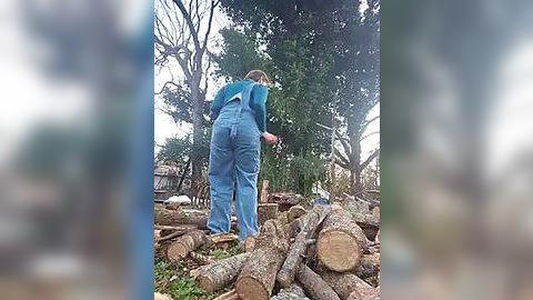 Media: A video of a person in blue overalls and a green shirt, cutting a tree trunk with a chainsaw, surrounded by a pile of felled logs in a wooded area.