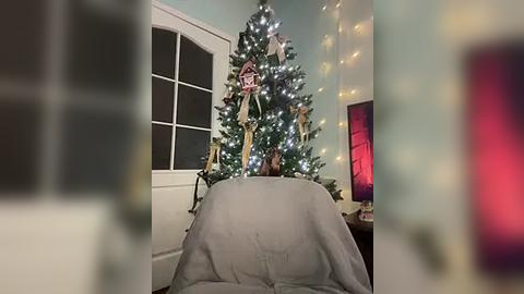 Media: A video of a cozy, lit Christmas tree with festive ornaments, draped in a light gray blanket, in a warmly-lit room with a window and a television in the background.