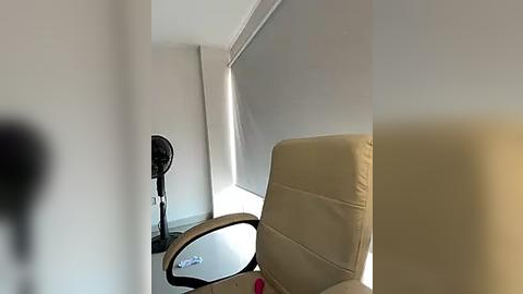 Media: Video of a modern office with a beige leather chair, a black desk lamp, and a window with a white shade, set against a plain white wall.