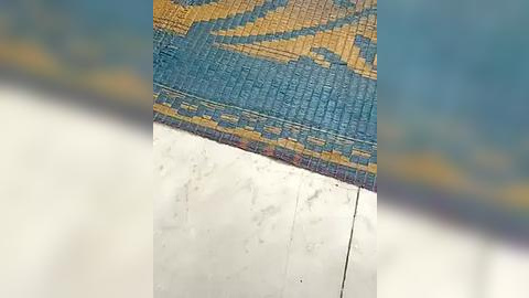 Media: Video of a cracked, tiled wall with a blue and yellow pattern. The tiles are weathered, showing signs of age and wear. The background is blurred, suggesting an outdoor setting.