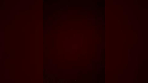 Media: Video of a deep, rich, maroon-colored wall, featuring a subtle gradient effect that darkens towards the center. The texture appears smooth, with no discernible objects or patterns visible. The image has a minimalist aesthetic, focusing solely on the color and tone.