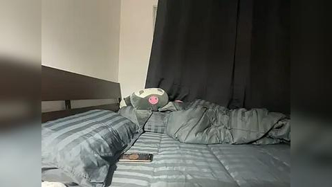 Media: Video of a messy bedroom with a bed covered in gray striped bedding, a gray and white pillow, a dark blanket, and a pink pillow with a smiley face.