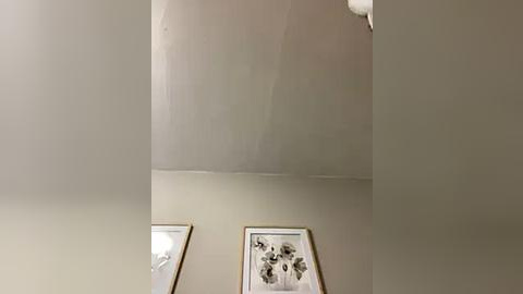 Media: Video of a beige wall with a noticeable water stain, two framed black-and-white art prints hanging slightly askew, one partially obscured by the wall. The lighting is soft, highlighting the subtle texture of the wall and the art's delicate lines.