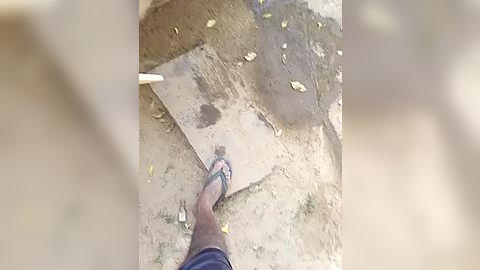 Media: Video of a person's bare feet walking on a rough, uneven ground with scattered leaves and dirt, a trowel beside them.