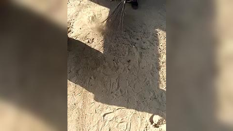 Media: Video of a person sweeping a sandy, textured surface, creating a dust cloud. The person, partially visible, wears a dark outfit. Shadows and light play on the ground, highlighting the earthy tones.