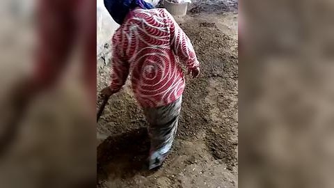 Media: A video showing a person wearing a red, white patterned sweater and gray pants, shoveling dirt in a muddy field.