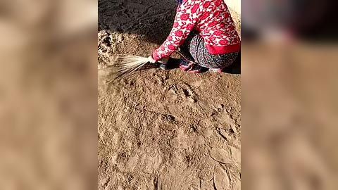 Media: Video of a person wearing a red and white patterned sweater and dark pants, kneeling on a rough, brown earth surface, using a rake to smooth the soil.