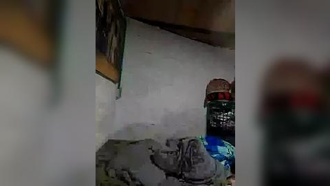 Media: A blurry video of a small, cluttered room with a white wall, a greenish object on the left, a black and red bucket on the right, and a gray blanket on the floor.