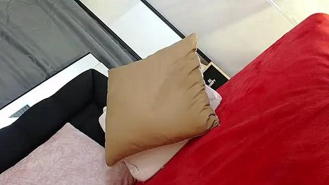 Media: Video of a bed with a beige pillow on a red bedspread, black and white bedding, and gray curtains in the background.