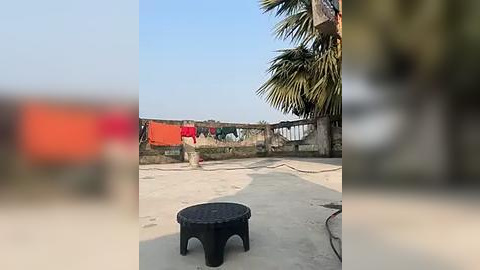 Media: Video of a man in a red shirt and shorts standing on a sandy beach near a palm tree, holding a black bucket. The background features a wooden fence and a blurred orange object.