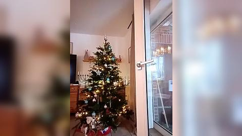 Media: A video of a cozy, warmly-lit living room with a decorated Christmas tree, glowing lights, and a glass door leading to a bright, sunlit room.