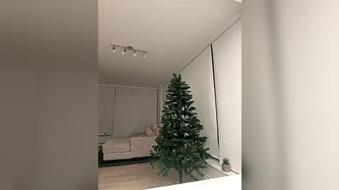 Media: Video of a minimalist living room with a small, artificial Christmas tree in a pot next to a beige sectional sofa. The room has white walls, a wooden floor, and large window blinds.