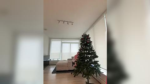 Media: Video of a modern living room with a Christmas tree in the foreground, beige couch against a white wall, and large windows letting in natural light.