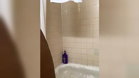 Media: A video of a beige-tiled shower stall with a purple shampoo bottle on the white bathtub ledge. The image is slightly blurred, focusing on the shower's interior.