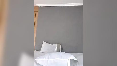 Media: Video of a minimalist bedroom with a single bed against a grey wall. The bed has white sheets and a single pillow, with a wooden door partially visible on the left. The room's walls are painted grey, giving it a modern, monochromatic aesthetic.