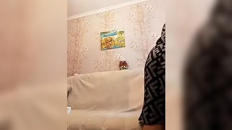 Media: A video captures a beige couch with a blanket, adorned with a colorful, floral-patterned pillow and framed art. A person wearing a black and white patterned shirt is partially visible in the foreground. The background features a light beige wallpaper with floral designs.