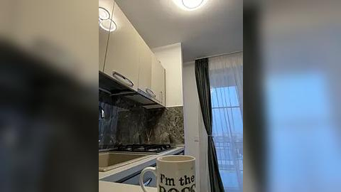 Media: Video of a modern, minimalist kitchen with beige cabinets, black granite countertops, stainless steel appliances, a white mug, and a window with sheer white curtains.