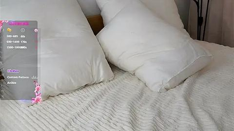 Media: A video of a neatly made bed with white pillows and a textured white blanket, featuring a digital overlay with product information on the left.