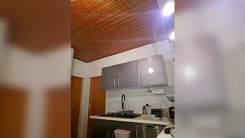 Media: A video of a small, modern kitchen with light gray cabinets, a white countertop, and a wooden ceiling. The room features a stainless steel sink and a few appliances, with a blurred figure in the foreground.